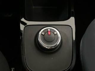 DACIA Spring usata 18