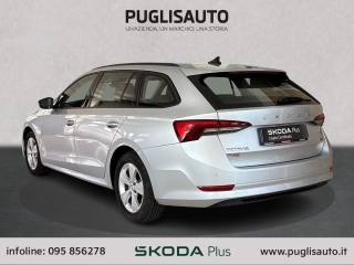 SKODA Octavia usata, con Bracciolo