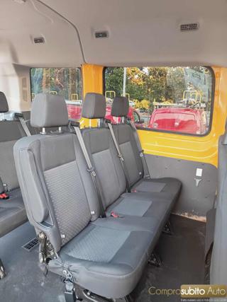 FORD Transit usata 22