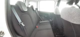 FIAT Panda usata 50