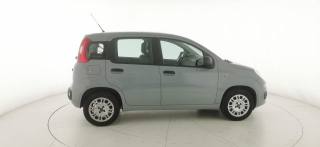 FIAT Panda usata 7
