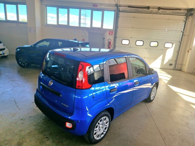 FIAT Panda usata, con Airbag Passeggero