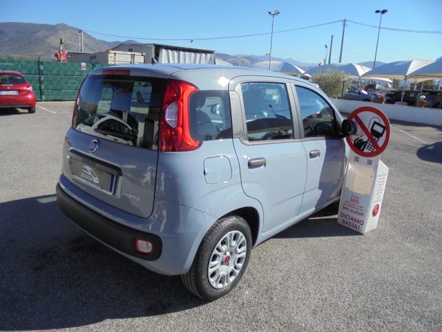 FIAT Panda usata 13