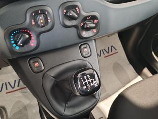 FIAT Panda usata 13
