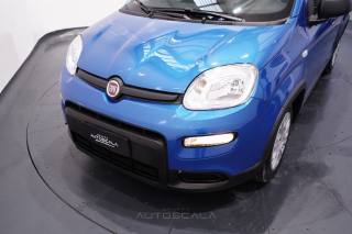 FIAT Panda usata 23