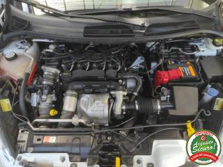 FORD Fiesta usata 19