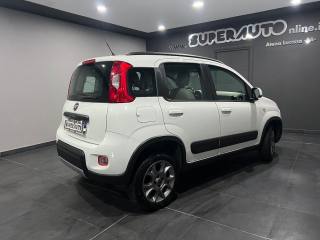 FIAT Panda usata, con Antifurto