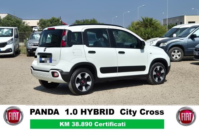 FIAT Panda Cross usata, con Airbag Passeggero