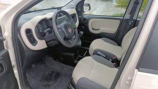 FIAT Panda usata, con Fendinebbia