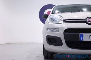 FIAT Panda usata 35