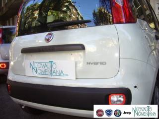 FIAT Panda usata, con Controllo trazione