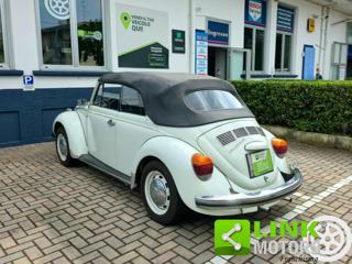 VOLKSWAGEN Maggiolone usata 6