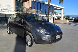 FIAT Punto usata, con Airbag Passeggero