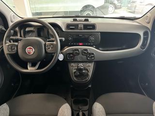 FIAT Panda usata, con Immobilizzatore elettronico