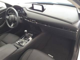 MAZDA CX-30 usata, con Cronologia tagliandi