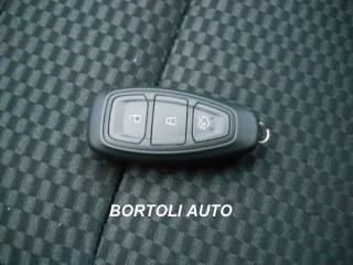 FORD Puma usata, con Fendinebbia