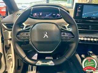 PEUGEOT 3008 usata, con Vetri oscurati