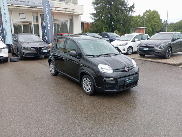 FIAT Panda usata, con Airbag Passeggero
