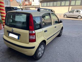 FIAT Panda usata 5