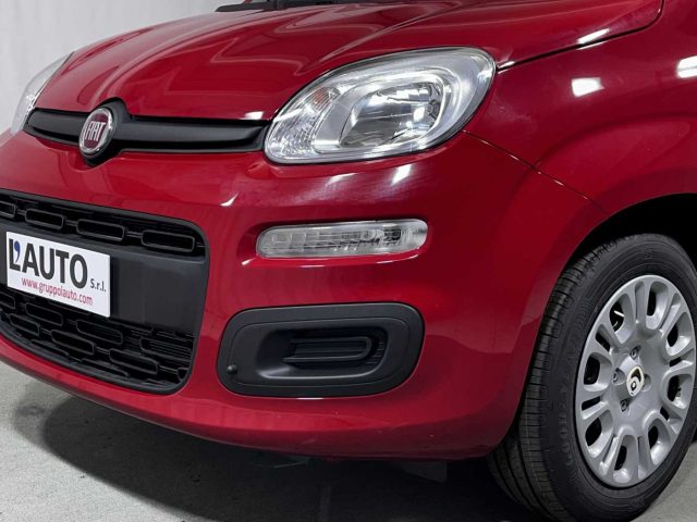 FIAT Panda usata 29