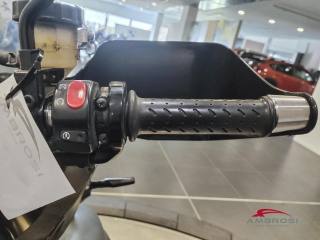 TRIUMPH Tiger 1050 usata 10