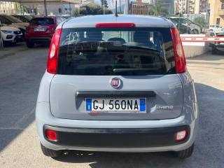 FIAT Panda usata 15