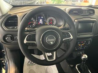 JEEP Renegade usata, con Cruise Control
