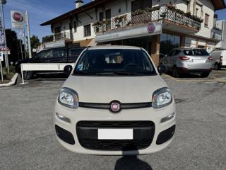 FIAT Panda usata, con Controllo trazione