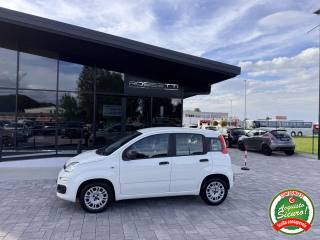 FIAT Panda usata, con Airbag Passeggero