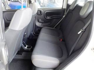 FIAT Panda usata, con Monitoraggio pressione pneumatici