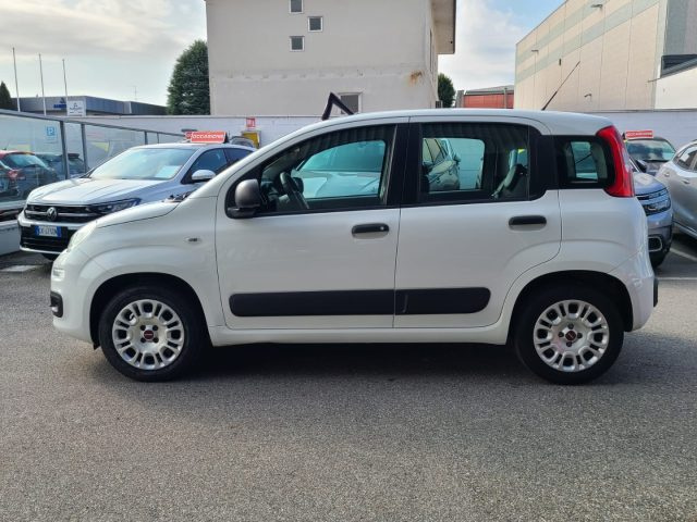 FIAT Panda usata 17