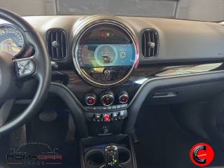MINI Countryman usata, con Cronologia tagliandi