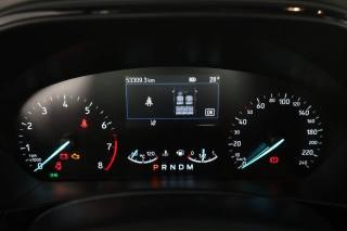 FORD Focus usata 6