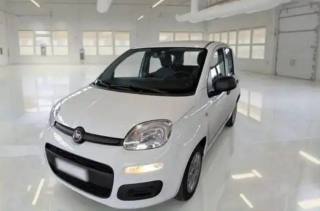 FIAT Panda usata, con Airbag
