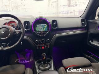 MINI Countryman usata, con Cronologia tagliandi