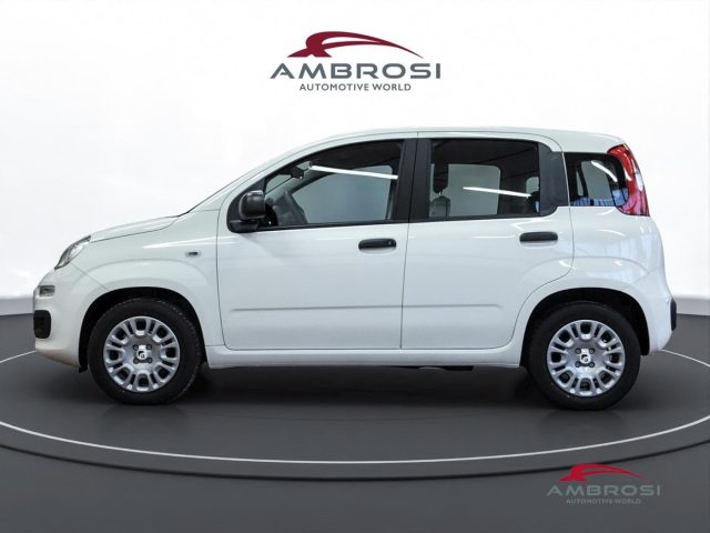 FIAT Panda usata 5