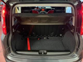 FIAT Panda usata, con Fendinebbia
