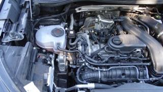 SKODA Kodiaq usata 152
