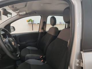 FIAT Panda usata, con Controllo trazione