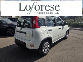 FIAT Panda usata, con Alzacristalli elettrici