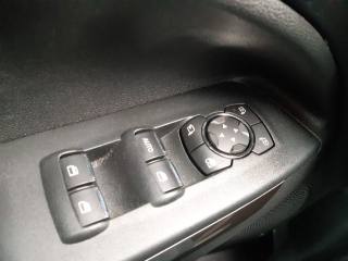 FORD EcoSport usata, con Fendinebbia