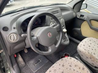 FIAT Panda usata, con Fendinebbia