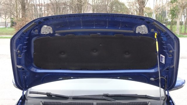 VOLKSWAGEN Polo usata 118