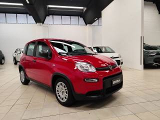 FIAT Panda usata, con Airbag Passeggero
