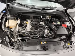 FORD Focus usata 26