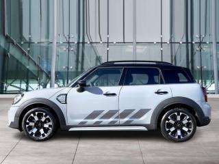 MINI Countryman usata, con Alzacristalli elettrici