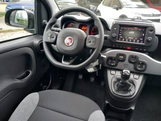 FIAT Panda usata 20