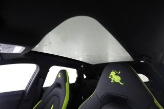 FORTHING Friday HEV usata 13