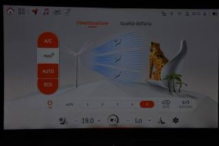 SMART Smart usata, con Isofix