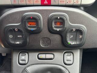 FIAT Panda usata, con Controllo automatico clima